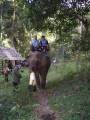 IMGP1572 Conor and Lisa on an elephant