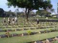 IMGP1790 War cemetery near River Kwai